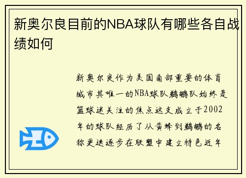 新奥尔良目前的NBA球队有哪些各自战绩如何