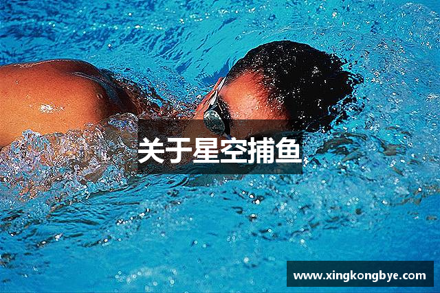 关于星空捕鱼